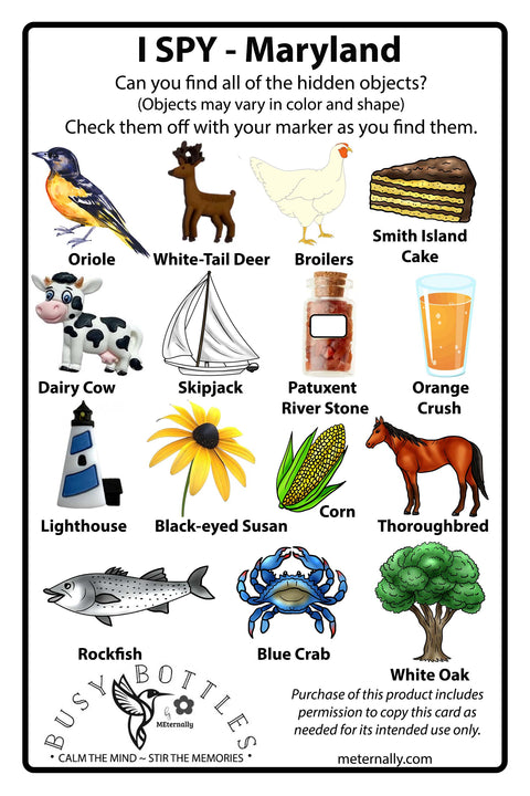 State Busy Bottles (Great for all ages!)