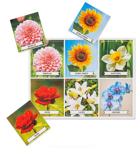 Assistex Matching Game Activity Board