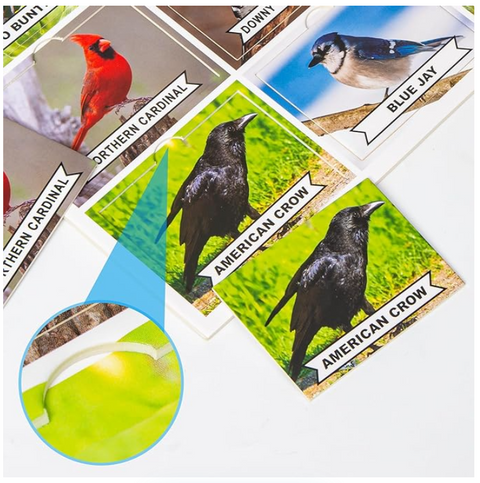 Assistex Matching Game Activity Board
