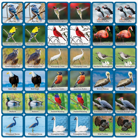 Audubon Bird Matching Game