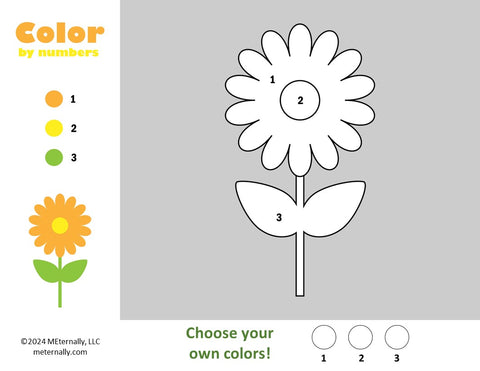 Digital Download - Color by Numbers - Birds, Bugs & Flowers