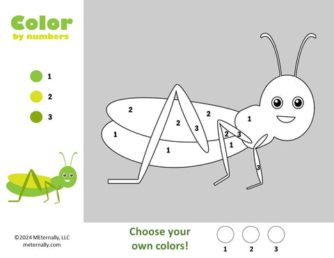Digital Download - Color by Numbers - Birds, Bugs & Flowers