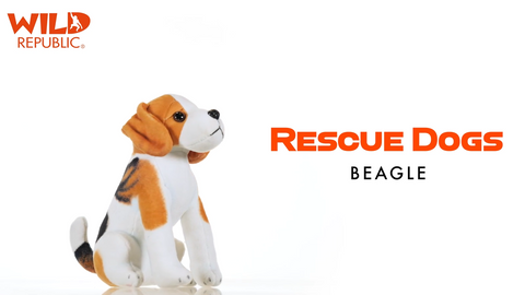 Wild Calls - Rescue Beagle with Sound 5.5"