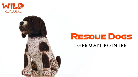 Wild Calls - RescueGerman Pointer with Sound 5.5" (Copy)