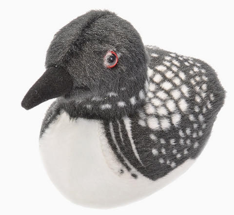 Audubon II Common Loon with Sound