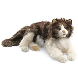Library/Facility BACKPACK - Cats DVD & Photo/Activity Cards Kit with Ragdoll Cat Puppet