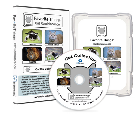 DVD & Photo/Activity Cards Bundle