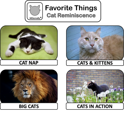 Library/Facility Pack - Reminiscence Therapy - Cats DVD & Photo/Activity Cards Kit