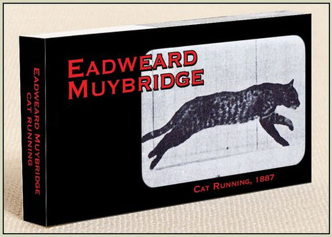 Muybridge Cat Flipbook