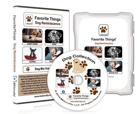 DVD & Photo/Activity Cards Bundle