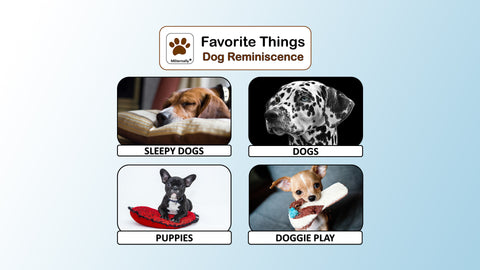 Reminiscence Therapy - Dogs DVD
