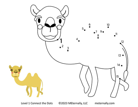 Level 1, 2 & 3 Connect the Dots Set