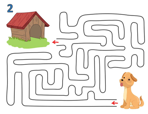 Level 1 Maze Collection