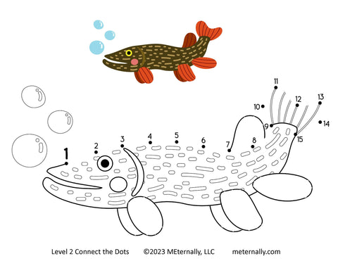 Level 2 Connect the Dots