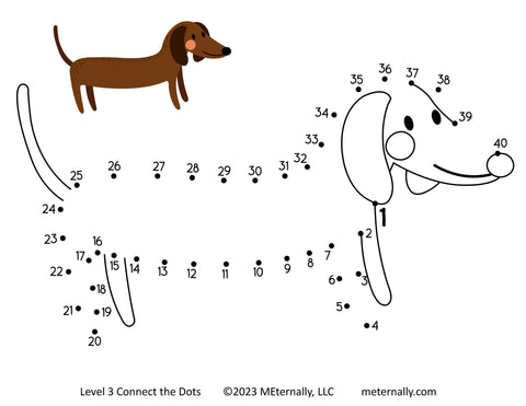 Level 3 Connect the Dots