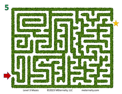 Level 1, 2 & 3 Maze Set