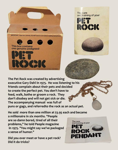 Library/Facility Deluxe BACKPACK - The 1970s DVD & Photo/Activity Cards Kit with Booklets