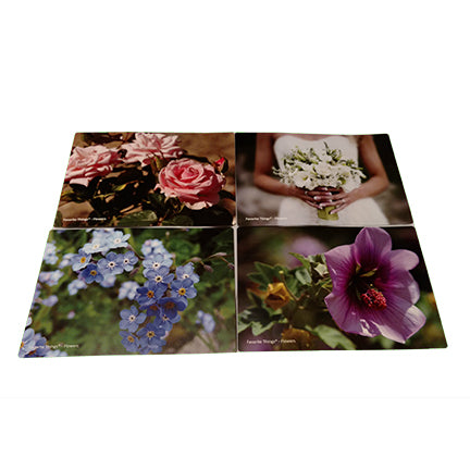 Reminiscence Therapy - Spring Collection Photo/Activity Cards