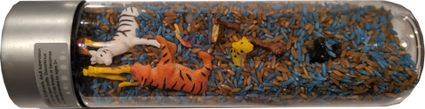 Memory Play - Wild Animals Busy Bottle
