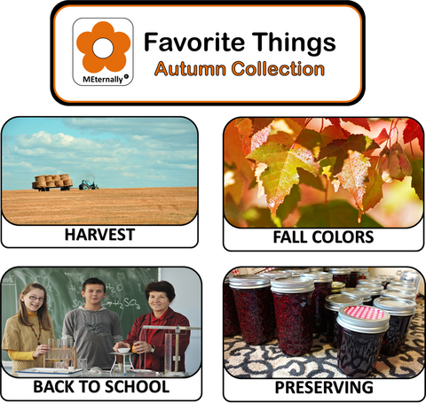 Library/Facility Pack - Reminiscence Therapy - Autumn DVD & Photo/Activity Cards