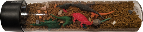 Memory Play - Dinosaur Busy Bottle
