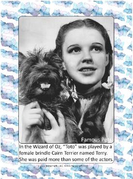Favorite Things - Remembering Pets Photo Cards