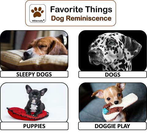 Library/Facility BACKPACK - Reminiscence Therapy - Dogs DVD & Photo/Activity Cards Kit