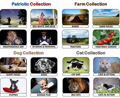 Reminiscence Therapy - Our Favorite Collection DVD & Photo/Activity Card Set