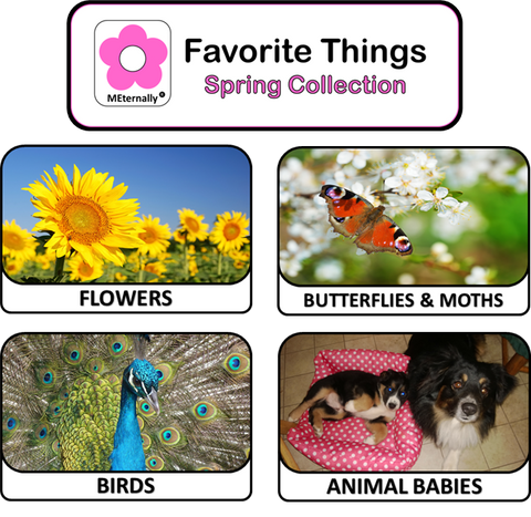 Reminiscence Therapy - Spring Collection Photo/Activity Cards