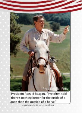 Favorite Things - Remembering Pets Photo Cards