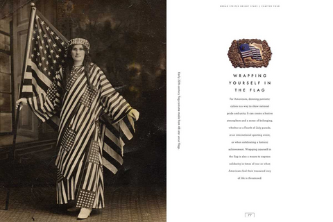 Broad Stripes Bright Stars: A Graphic History Celebrating 250 Years of America's Icons