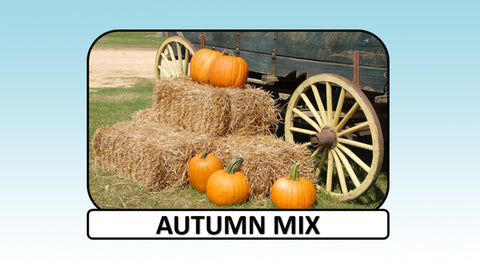 Digital Video Download - Autumn Collection - Autumn Mix