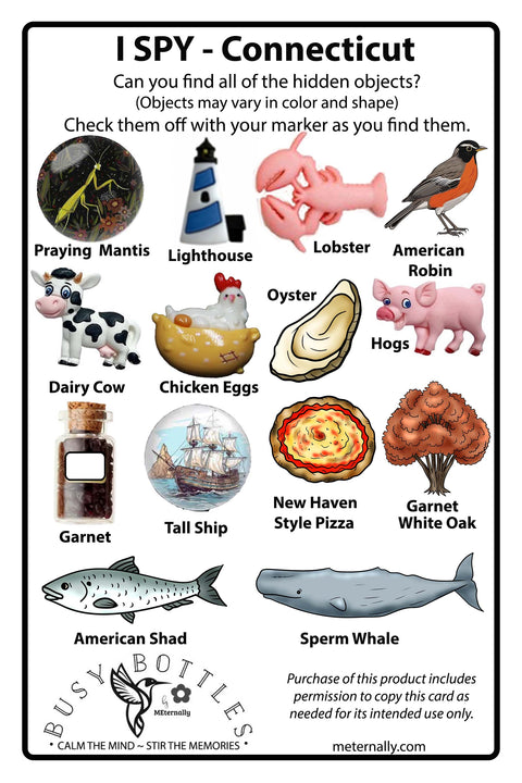 State Busy Bottle with State Tic Tac Toe Combo Kit