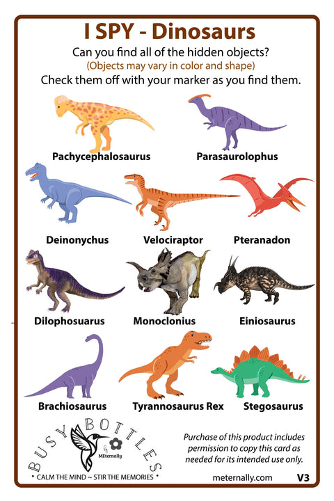 Memory Play - Dinosaur Busy Bottle