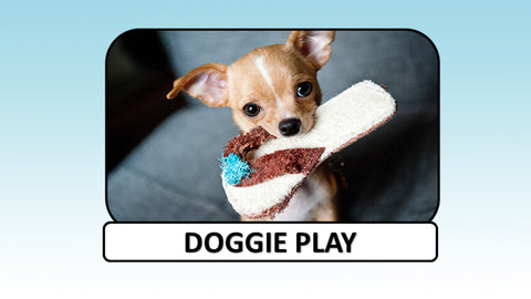 Digital Video Download - Dog Collection - Doggie Play