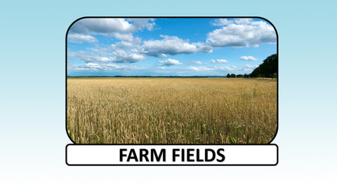 Digital Video Download - Farm Collection - Farm Fields