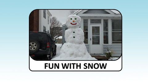 Digital Video Download - Winter Collection - Fun with Snow