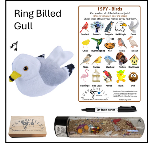 Busy Bottle Mini Kit - Birds Busy Bottle & Audubon Ring Billed Gull with Sound