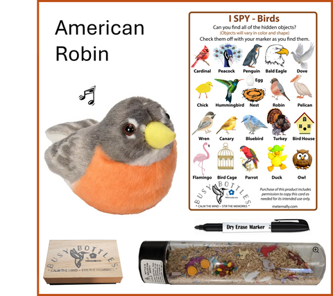 Busy Bottle Mini Kit - Birds Busy Bottle & Audubon American Robin with Sound