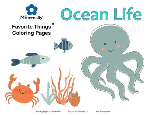 Family Friendly Activity Kit - Ocean Life