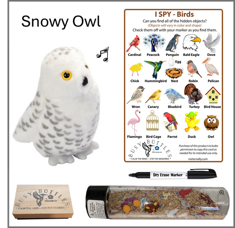 Busy Bottle Mini Kit - Birds Busy Bottle & Audubon Snowy Owl with Sound