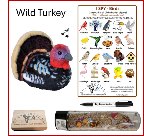 Busy Bottle Mini Kit - Birds Busy Bottle & Audubon Wild Turkey with Sound