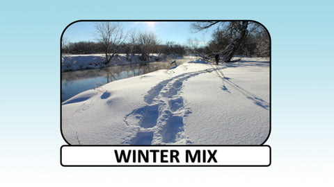 Digital Video Download - Winter Collection - Winter Mix