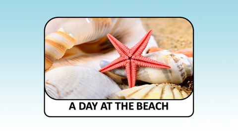 Digital Video Download - Summer Collection - A Day at the Beach