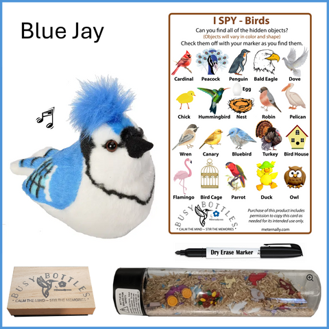 Busy Bottle Mini Kit - Birds Busy Bottle & Audubon Blue Jay with Sound