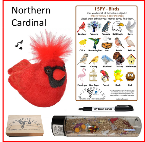 Busy Bottle Mini Kit - Birds Busy Bottle & Audubon Northern Cardinal with Sound