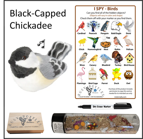 Busy Bottle Mini Kit - Birds Busy Bottle & Audubon Black-Capped Chickadee with Sound