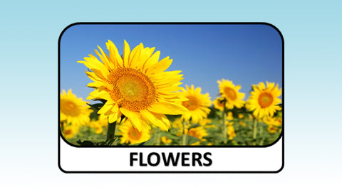 Digital Video Download - Spring Collection - Flowers