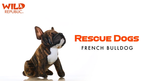 Wild Calls - Rescue French Bulldog with Sound 5.5"