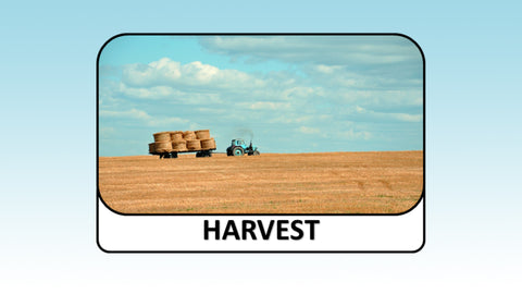 Digital Video Download - Autumn Collection - Harvest